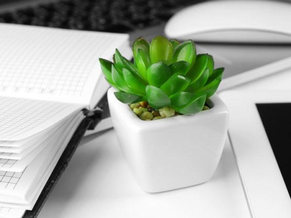 green office